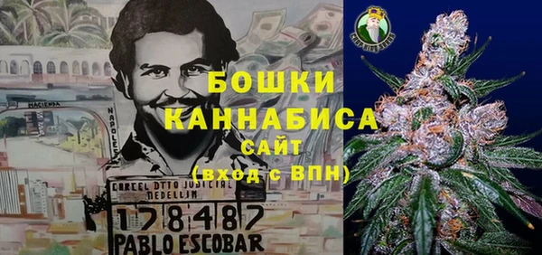 амф Осташков