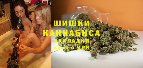 стафф Осинники