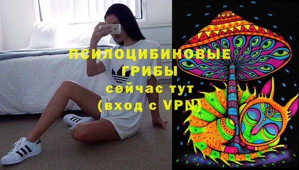 амф Осташков