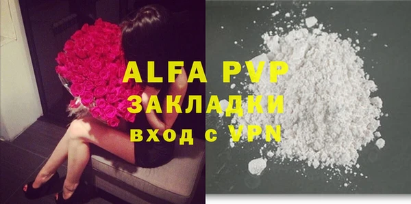 стафф Осинники